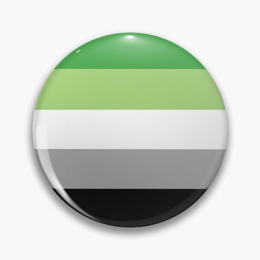 Aromantic Flag Pin Buttons Bro - Ethnic Modern Fashion 评论和价格